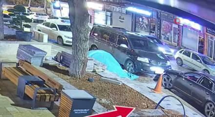 Kahramanmaraş'ta l&uuml;ks ara&ccedil;la gelip parktaki ağacı &ccedil;aldılar