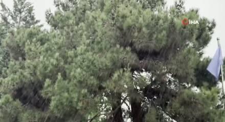 Kar ve dondurucu soğuk T&uuml;rkiye'yi esir alacak!