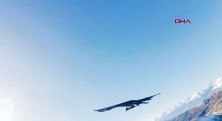 Kartalın kaptığı dron 6 saatlik tırmanışla geri alındı; o anlar kamerada