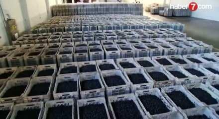 Marmarabirlik duyurdu: 1 milyar 200 milyon liralık destek!