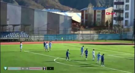 Sahaya giren k&ouml;pek kalenin &ouml;n&uuml;nde uyudu! 