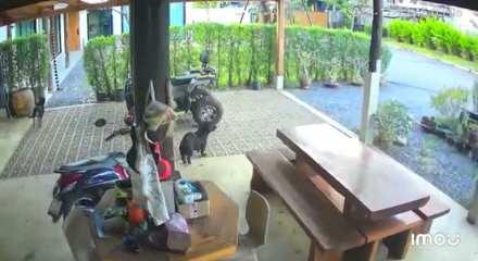 Tayland ile Kambo&ccedil;ya, sınır &ccedil;atışmalarına devam ediyor