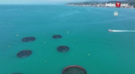 T&uuml;rk somonu sınır tanımıyor!