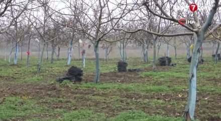 T&uuml;t&uuml;n&uuml; bıraktılar hayatları değişti!