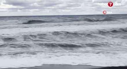 Zonguldak'ta 90 yıllık ağa&ccedil; devrildi, dalgalar mendireği aştı