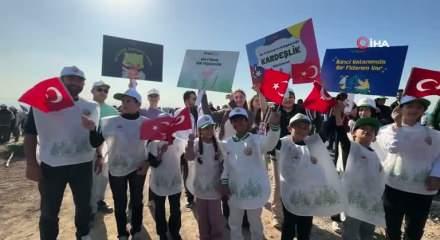 T&uuml;rkiye'de ge&ccedil;en yıl 517 milyon fidan ve tohum toprakla buluştu