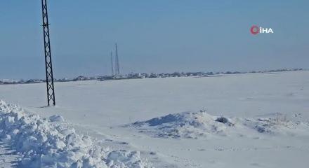 Adilcevaz'da s&uuml;r&uuml; halinde gezen k&ouml;pekler k&ouml;y halkını tedirgin ediyor