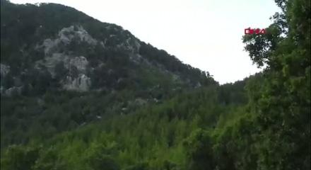 Anadolu parsına zarar vermenin cezası 45 milyon TL