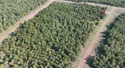 Deniz'i boğarak &ouml;ld&uuml;ren katil birer g&uuml;n arayla cesedi yaktığını itiraf etti