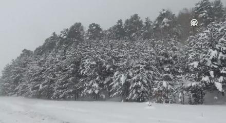 Tunceli'de eğiteme kar arası!