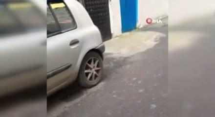 Y&uuml;zlerce farenin istila ettiği d&uuml;kkanın bulunduğu sokağı k&ouml;t&uuml; kokular sardı