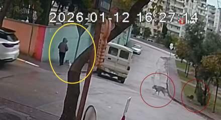 Adana'da k&ouml;pek ter&ouml;r&uuml; kamerada!