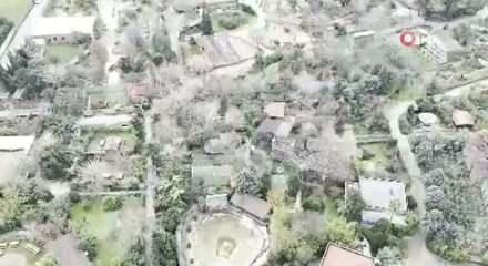 Darıca Hayvanat Bah&ccedil;esi kapandı, hayvanlar farklı illere nakledildi