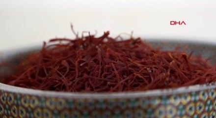 Kilosu 900 bin liraya ulaştı, mısır ko&ccedil;anı ve at kılı ile taklit ediliyor!