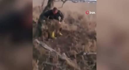 Konya'da yaban domuzunu &ccedil;ıplak elle yakaladı