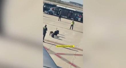 T&uuml;rk Hava Yolları'nın İstanbul-Barselona u&ccedil;ağında bomba tehdidi