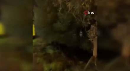 Arnavutk&ouml;y'de i&ccedil;inde yolcuların bulunduğu İETT otob&uuml;s&uuml; ormanlık alana u&ccedil;tu, faciadan d&ouml;n&uuml;ld&uuml;