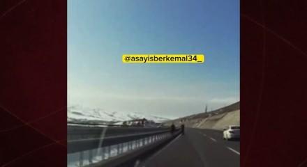 Fotoğraf uğruna canlarını hi&ccedil;e saydılar!