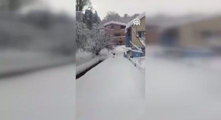 İmamın seslendiği kedilerin karda sıralı şekilde y&uuml;r&uuml;mesi g&ouml;r&uuml;nt&uuml;lendi