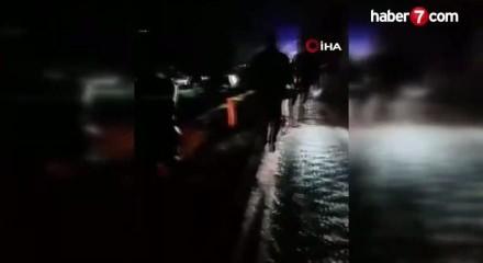 K&ouml;pekler nedeniyle otoyolda can pazarı