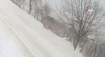 Ordu'da kamyon şarampole devrildi!