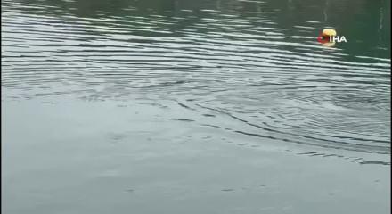 Sahil g&uuml;venlikten yunus kurtarma operasyonu