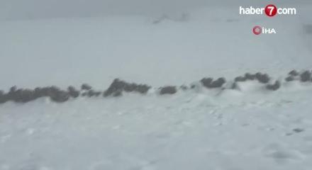 Şizofreni hastası kadını arama &ccedil;alışmaları 4&rsquo;&uuml;nc&uuml; g&uuml;n&uuml;nde de s&uuml;r&uuml;yor