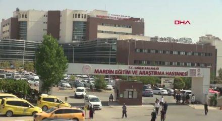 Sokak k&ouml;peklerinin saldırısına uğrayan Nazlı, ağır yaralandı