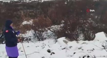 Diyarbakır'da kaybolan Nimet 8 g&uuml;nd&uuml;r aranıyor