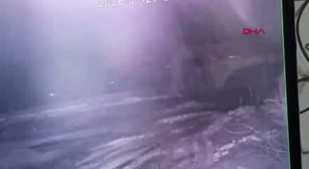 Kars&rsquo;ta ağıla giren kurt 200 koyunu telef etti