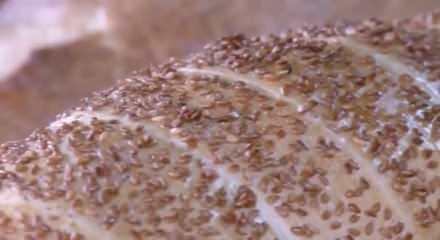 Mansur Yavaş'a halk ekmek soruşturması!