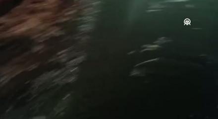 Ter&ouml;r &ouml;rg&uuml;t&uuml; YPG ateşkesi ihlal etti: Yine sivilleri &ouml;ld&uuml;rd&uuml;!