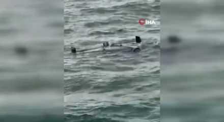 Karaburun a&ccedil;ıklarında insansız hava aracı d&uuml;şt&uuml;