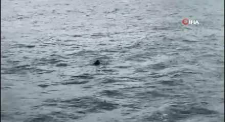 Emin&ouml;n&uuml; vapurunda korku dolu anlar: Denize atlayan şahsı yolcular kurtardı