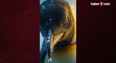 En-Nesyri'nin vedası resmileşti! Yeni takımı a&ccedil;ıklandı