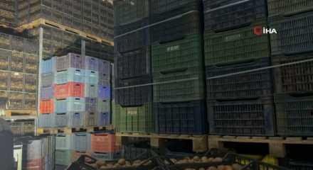 Grip d&ouml;neminde kiviye yoğun talep: Tanesi 220 gram geliyor