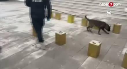 Hatay'da zeytinyağı tenekelerinden 100 bin uyuşturucu hap &ccedil;ıktı