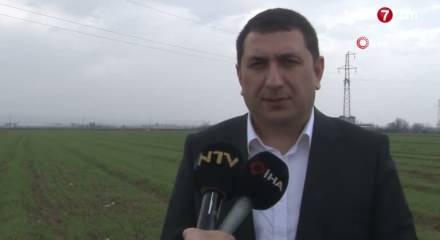 Şanlıurfa'da "doğal bereket" &ccedil;ift&ccedil;inin y&uuml;z&uuml;n&uuml; g&uuml;ld&uuml;rd&uuml;