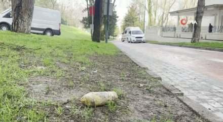 Bursa'da piknik yaparken buldu: M&uuml;zeye getirince ortalık karıştı