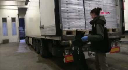 G&uuml;mr&uuml;k muhafaza ekiplerinden zehir tacirlerine 4,6 milyar liralık dev darbe