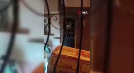 G&uuml;r&uuml;lt&uuml; yaptığı gerek&ccedil;esiyle &ouml;ld&uuml;r&uuml;len 10 yaşındaki Emir'in davasında karar!