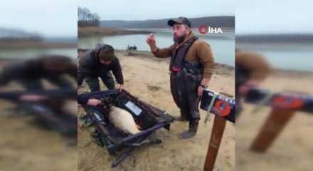 İstanbul'da 12 kilo 770 gramlık sazan yakalandı