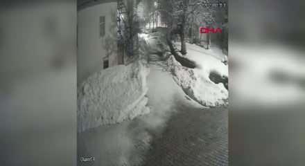 K&ouml;yde kedi avlayan vaşak kamerada