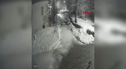 K&ouml;yde kedi avlayan vaşak kamerada