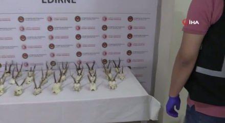 Ticaret Bakanlığı, 2025 yılında da ka&ccedil;ak canlı hayvan ticaretine ge&ccedil;it vermedi