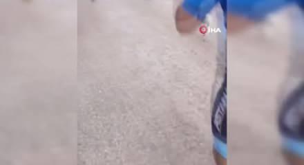 Triatlon yarışında parkura giren kuzu, renkli g&ouml;r&uuml;nt&uuml;lere neden oldu