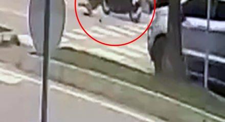 Adana'da feci kaza: 1,5 yaşındaki Mahmut Fatih'in &ouml;ld&uuml;ğ&uuml; an ortaya &ccedil;ıktı