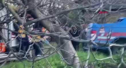 Antalya'da yangın faciası: 84 yaşındaki kadın can verdi