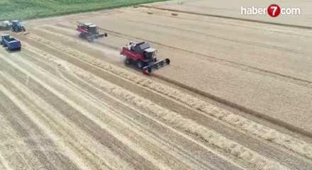 Arsa ve tarla satışları 2025'te 1,6 milyonu aştı