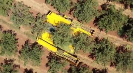 Bakanlık harekete ge&ccedil;ti! Yeni tedbirler yolda&hellip;